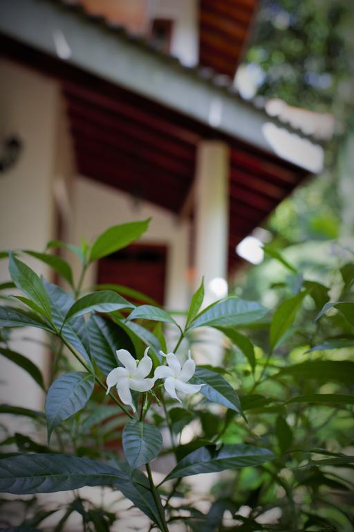 Binara Home Stay Polonnaruwa Exteriér fotografie