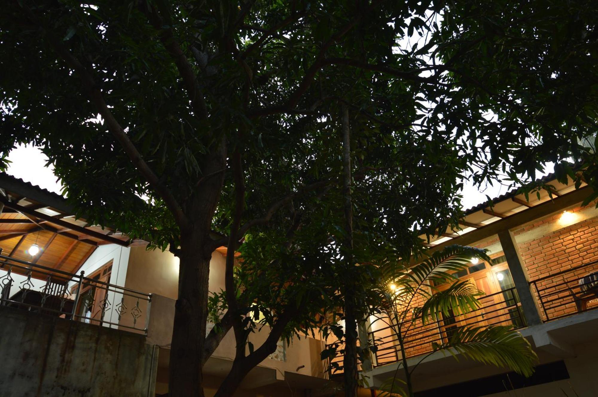 Binara Home Stay Polonnaruwa Exteriér fotografie