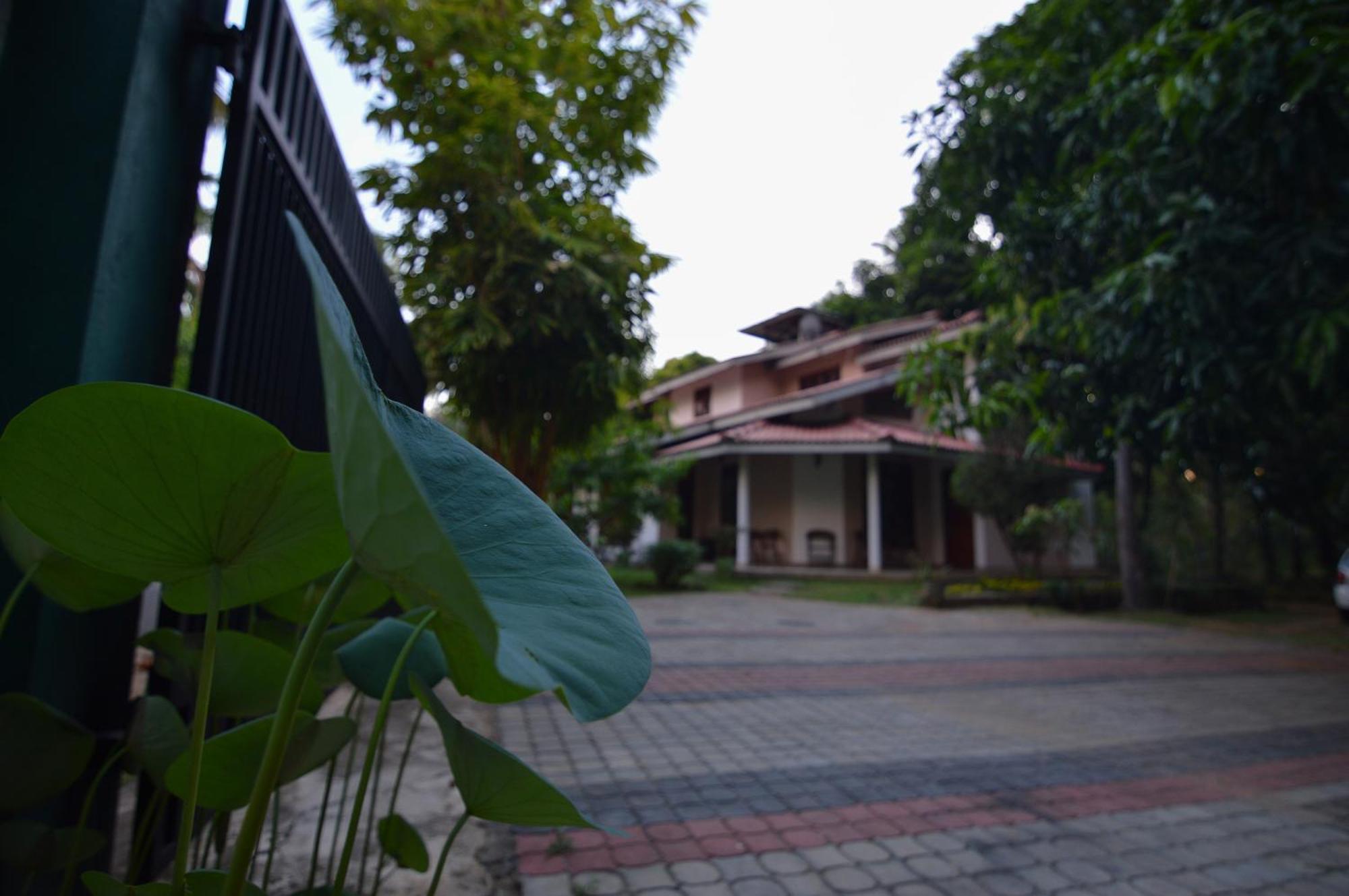 Binara Home Stay Polonnaruwa Exteriér fotografie